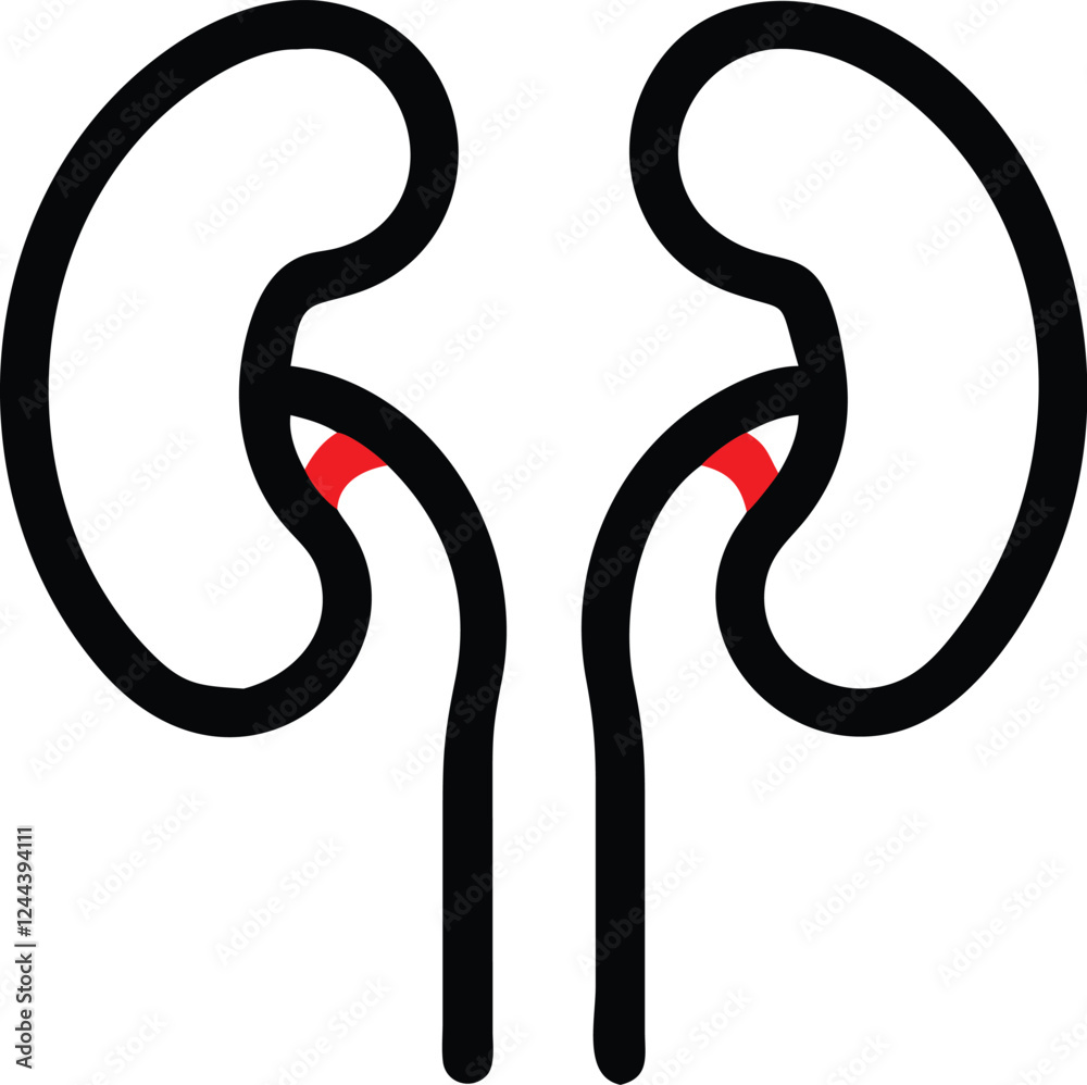 Human kidney with shield isolated on white background. Kidney care concept. Kidney vector art. Human kidney with shield isolated on white background. Kidney care concept. Kidney vector art.