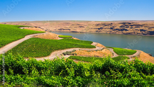 Photos An extraordinary vineyard of beauty and scope carved out of a steep, south-facing slope alongside the Columbia River in the southeast corner of the Horse Heaven Hills