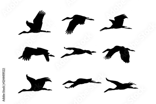 Openbill stork Flying Silhouettes isolated on white background.