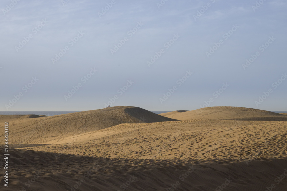 Vast sand dunes landscape with a small figure highlighting the scale.