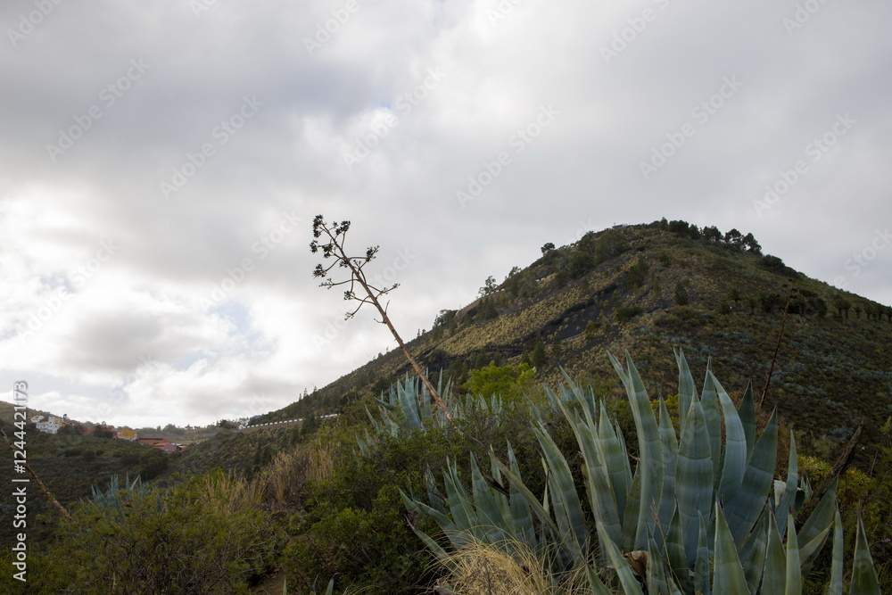 Rugged mountain landscape Bandama Caldera, Gran Canaria, with a prominent rock cliff or outcrop.
