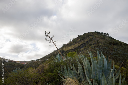 Obraz na płótnie Rugged mountain landscape Bandama Caldera, Gran Canaria, with a prominent rock cliff or outcrop. w salonie