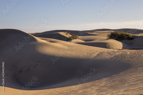 Obraz na płótnie Maspalomas Dunes in Gran Canaria. Textured sand dunes with patterns, shadows, and faint footprints. w salonie