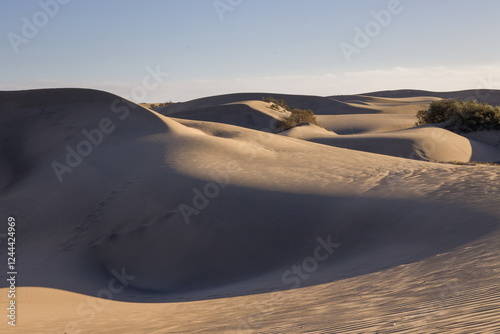 Obraz na płótnie Maspalomas Dunes in Gran Canaria. Textured sand dunes with patterns, shadows, and faint footprints. w salonie