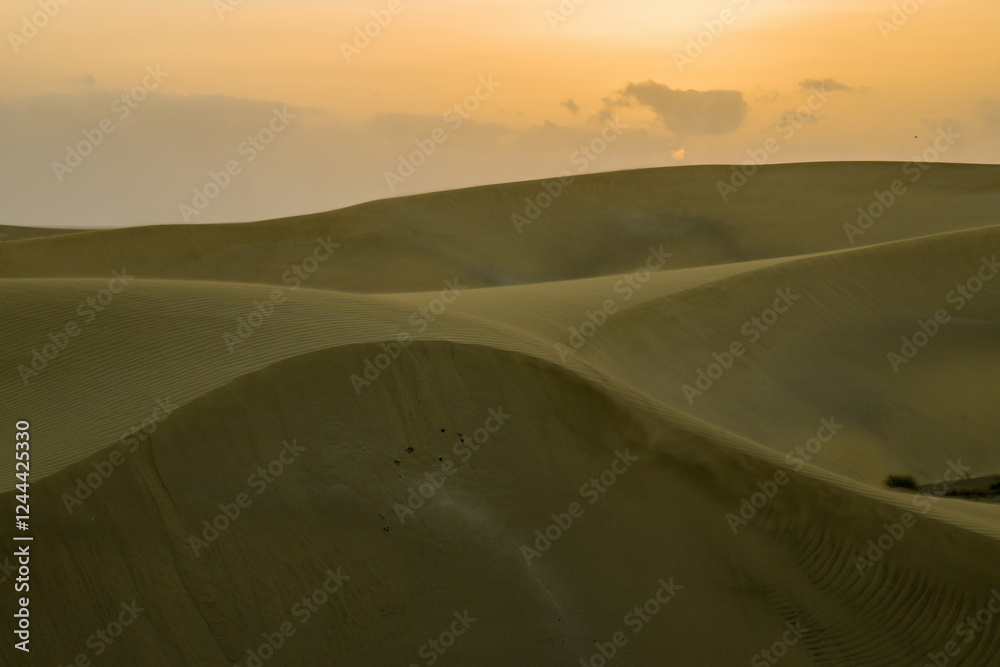 Maspalomas Dunes, Sand dune landscape at sunset or sunrise.
