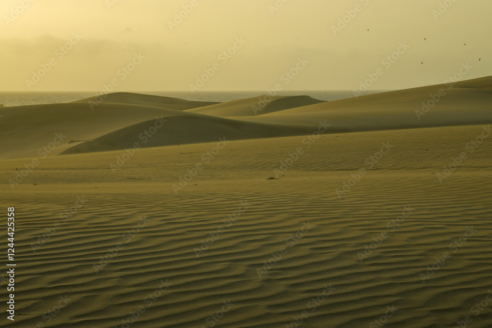 Maspalomas Dunes, Sand dune landscape at sunset or sunrise.