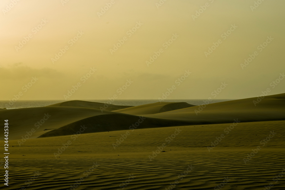 Maspalomas Dunes, Sand dune landscape at sunset or sunrise.
