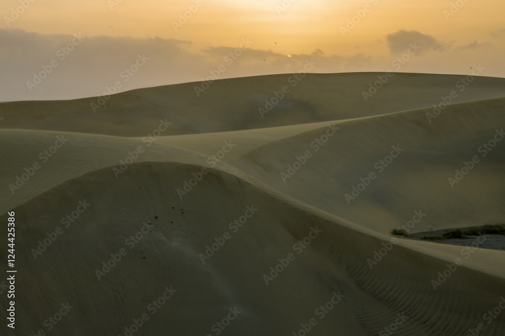 Maspalomas Dunes, Sand dune landscape at sunset or sunrise.