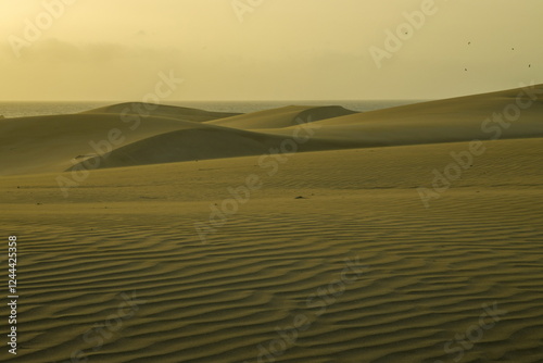 Obraz na płótnie Maspalomas Dunes, Sand dune landscape at sunset or sunrise. w salonie