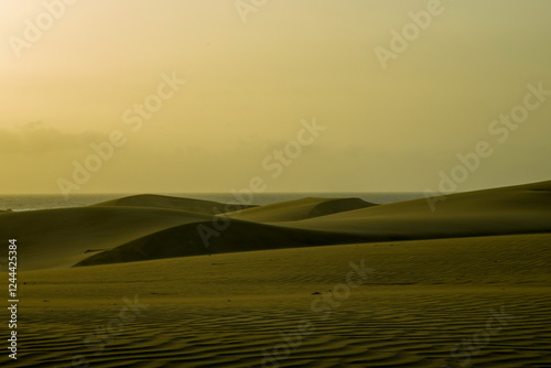 Maspalomas Dunes, Sand dune landscape at sunset or sunrise.
