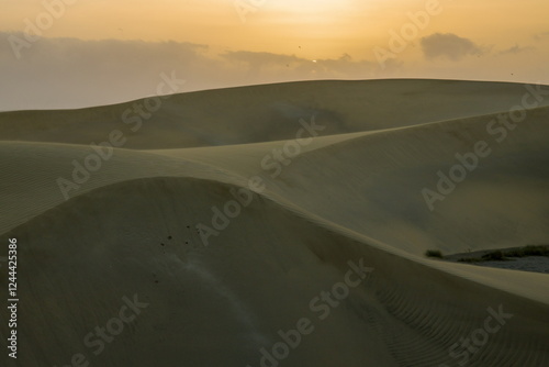 Obraz na płótnie Maspalomas Dunes, Sand dune landscape at sunset or sunrise. w salonie