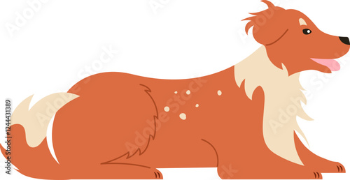 Illustration of a friendly collie dog lying down with a happy expression, showcasing its fluffy fur and distinctive markings. Perfect for pet related designs and animal illustrations