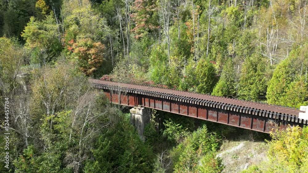 Flight over an abandoned railway bridge in the forest - Vol au dessus d'un pont ferroviaire abandonné dans la forêt