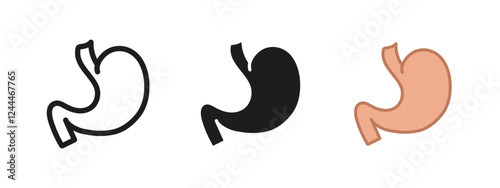 Stomach icon. Digestion symbol. Digestive organ vector illustration. Human anatomy sign. Gastric nutrition pictogram. Internal abdomen stomach concept outline, line, black and colored isolated.