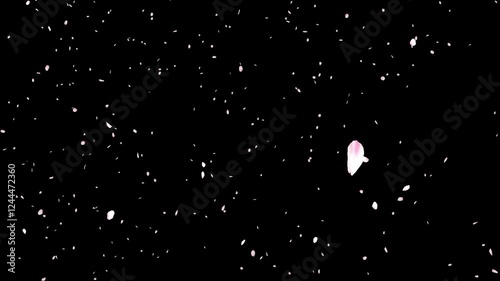 舞い落ちるたくさんの桜の花びらの素材（アルファチャンネル付き）