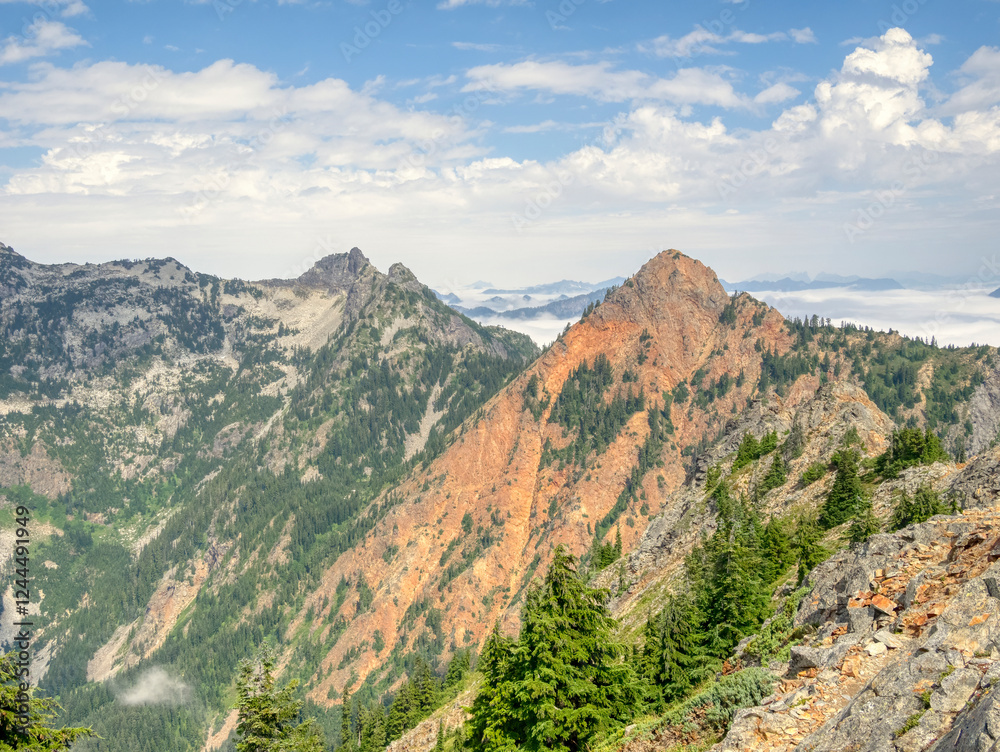 Fototapeta premium USA, Washington State. Central Cascades, Red Mountain and alpine fir trees