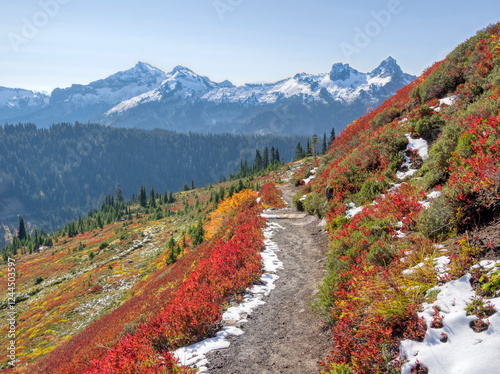 Washington State, Mount Rainier National Park. View of Tatoosh Range from Alta Vista Trail with vivid autumn colored foliage photo