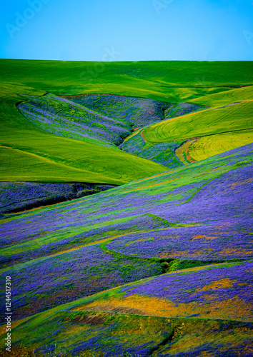 Fotografija USA, Washington State, Walla Walla