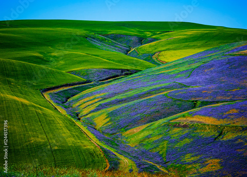 Fotografija USA, Washington State, Walla Walla
