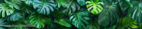 green tropical leaf background