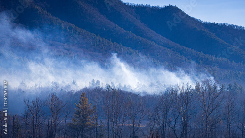 Prescribed burn in Cades Cove photo