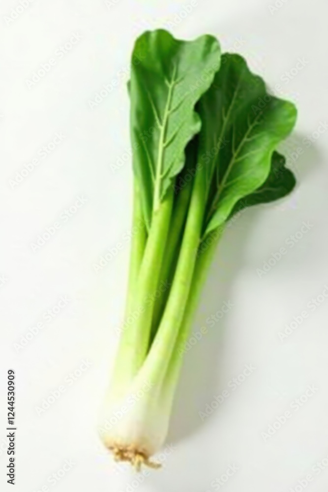 Single fresh leek, vibrant green, white background, spring, high resolution, visual Single fresh leek, vibrant green, white background, spring, high resolution, visual