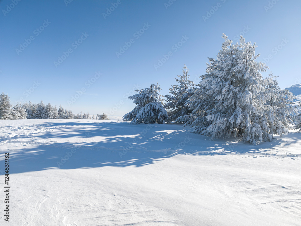 Obraz premium Winter Landscape of Vitosha Mountain, Bulgaria