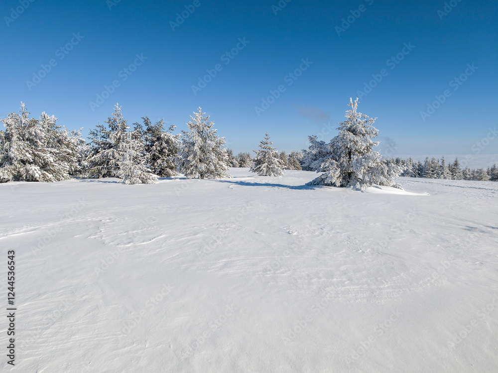 Winter Landscape of Vitosha Mountain, Bulgaria Winter Landscape of Vitosha Mountain, Bulgaria