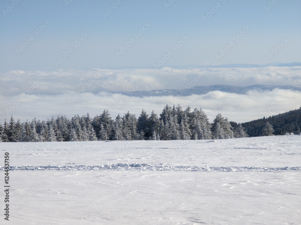 Winter Landscape of Vitosha Mountain, Bulgaria Winter Landscape of Vitosha Mountain, Bulgaria