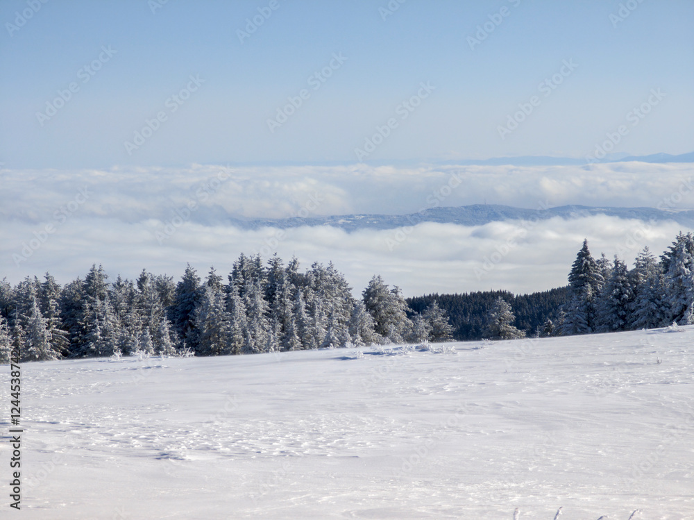 Winter Landscape of Vitosha Mountain, Bulgaria Winter Landscape of Vitosha Mountain, Bulgaria