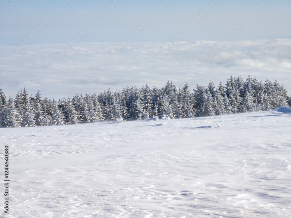Winter Landscape of Vitosha Mountain, Bulgaria Winter Landscape of Vitosha Mountain, Bulgaria