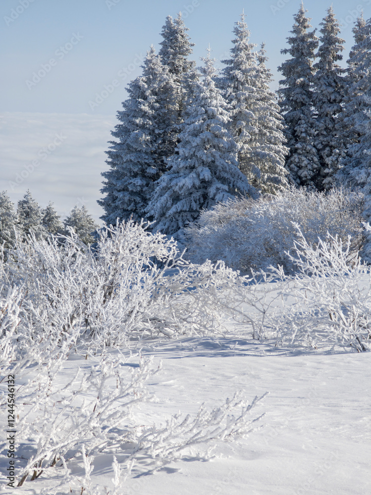 Winter Landscape of Vitosha Mountain, Bulgaria Winter Landscape of Vitosha Mountain, Bulgaria