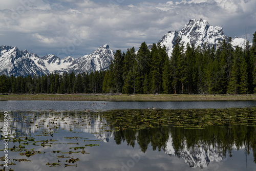 USA, Wyoming. Landscape of Heron Pond, Mount Moran and Teton Peaks in spring, Grand Teton National Park photo