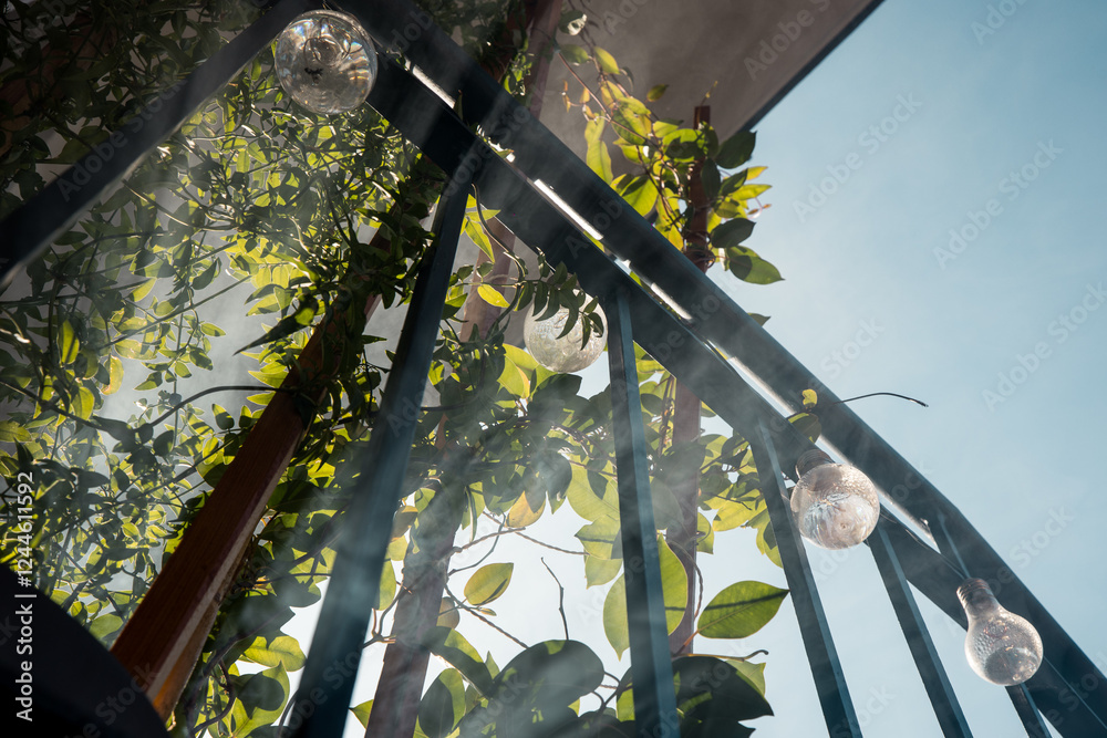 Sun streaks or rays piercing through mist in the home garden, sunshine through leaves on the balcony. Sunburst or sunbeam through leaves.