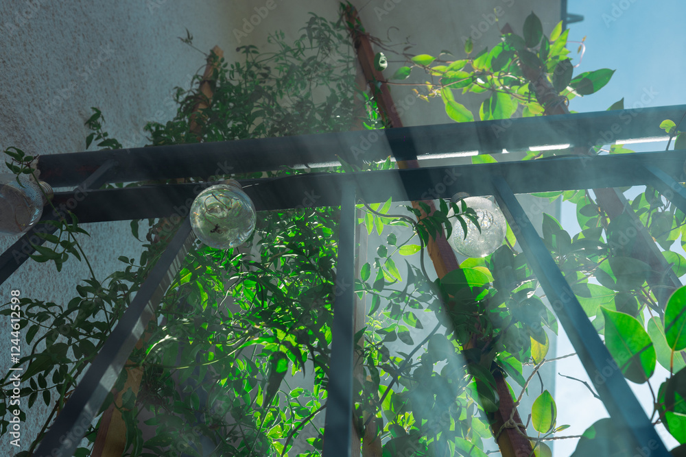 Sun streaks or rays piercing through mist in the home garden, sunshine through leaves on the balcony. Sunburst or sunbeam through leaves.