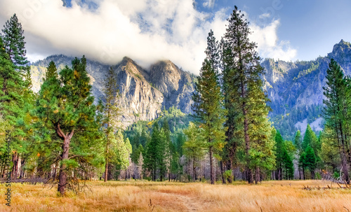 Three Brothers Vista From El Capitan Meadows, Yosemite NP, CA