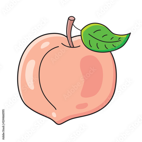 Peach fruit isolated vector illustration