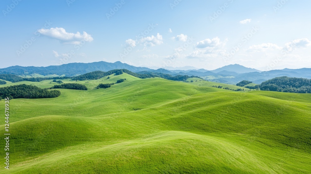Rolling green hills under a blue sky; idyllic pastoral landscape; nature background Rolling green hills under a blue sky; idyllic pastoral landscape; nature background
