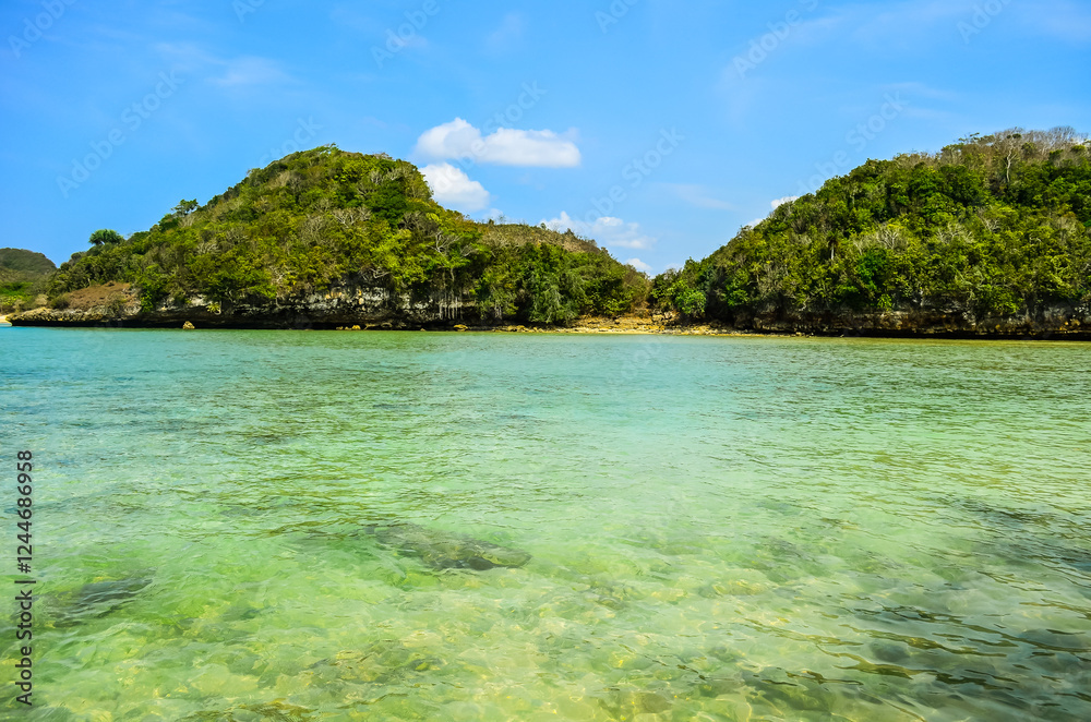 Crystal-Clear Water Lapping onto a White Sandy Shore Crystal-Clear Water Lapping onto a White Sandy Shore