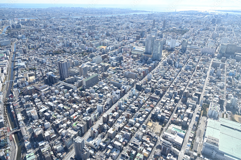 スカイツリーからの東京展望