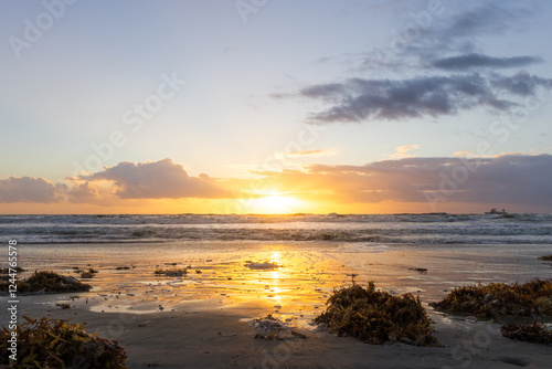 Foto Sun rising over the Atlantic Ocean at Cocoa Beach, Florida with piles of sea gra
