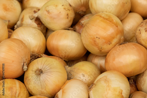 Marktverkauf von Zwiebeln  (Allium cepa) photo