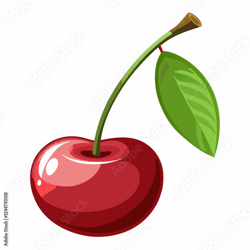 vector illustration of cherry