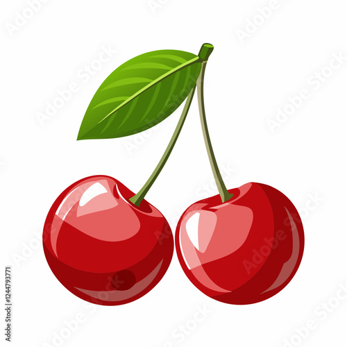 vector illustration of cherry