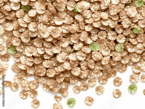 Close-up Photo of Dried Flo...