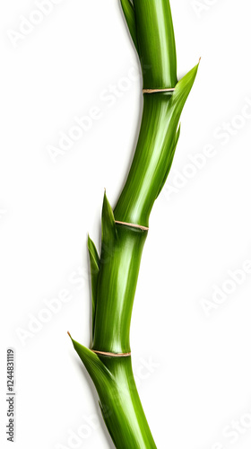 Close-up of Vibrant Green B...
