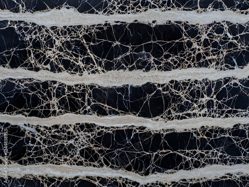 Dark Marble Texture Display...