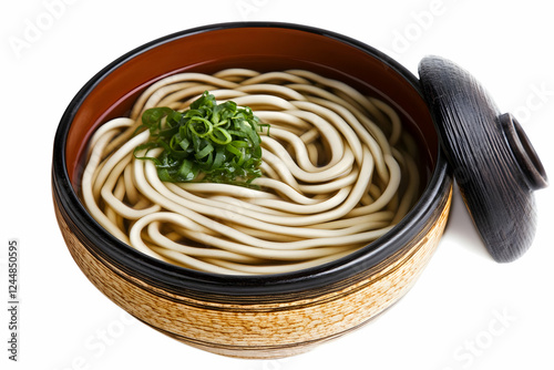 Udon Noodle Soup in a Bowl ...