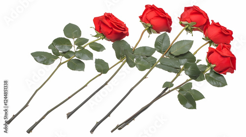 Five Long-Stemmed Red Roses...