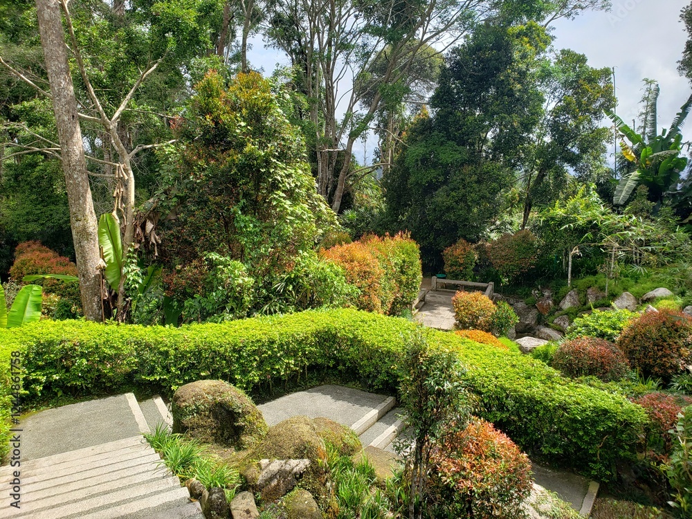 Obraz premium This photo captures a lush Japanese-style garden with vibrant greenery, trimmed hedges, colorful shrubs, and stone pathways leading to a serene bench. The tranquil setting is surrounded by tall trees.